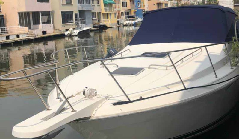 
								WELLCRAFT GRAND SPORT 34 full									