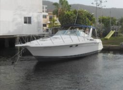 
										WELLCRAFT GRAND SPORT 34 full									