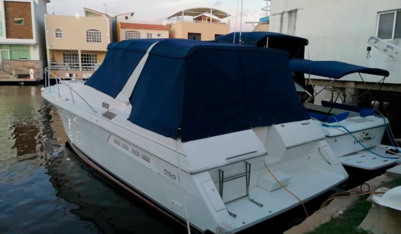 
								WELLCRAFT GRAND SPORT 34 full									