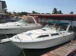 WELLCRAFT SUNRISE 28, VENTA DE WELLCRAFT SUNRISE 28, WELLCRAFT SUNRISE 28 DE MARACAIBO