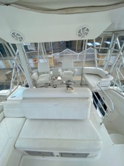 
										LUHRS 41 full									