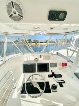 
										LUHRS 41 full									