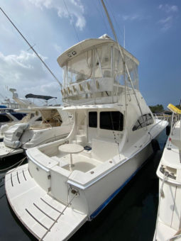 
										LUHRS 41 full									