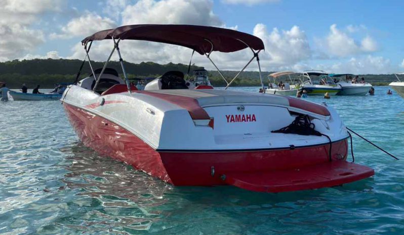 
								YAMAHA 20 full									