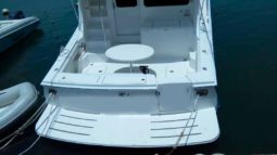 
										LUHRS 41 full									