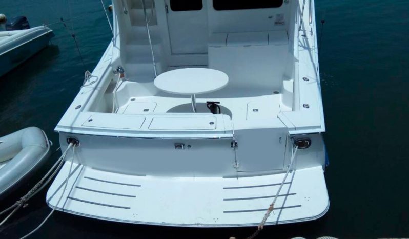 
								LUHRS 41 full									