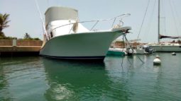 
										LUHRS 41 full									