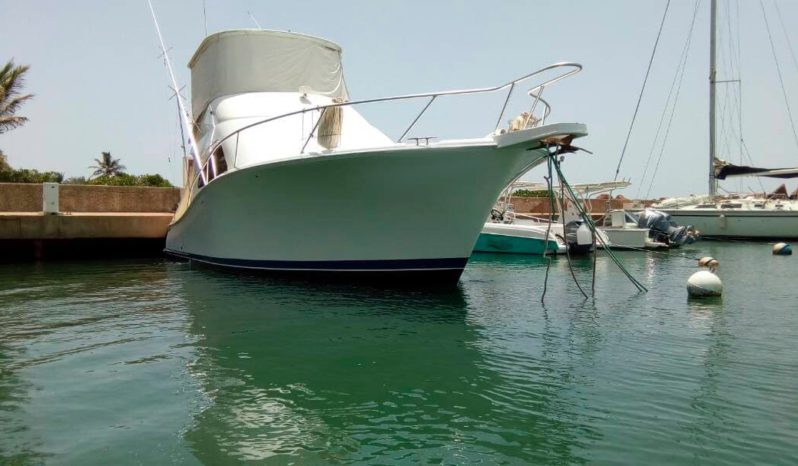 
								LUHRS 41 full									