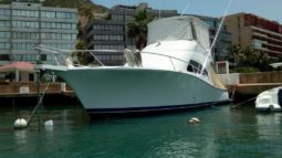 
										LUHRS 41 full									