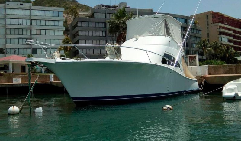 
								LUHRS 41 full									