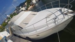 
										AZIMUT 44 full									