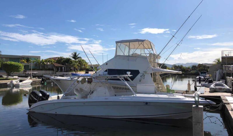 
								BARRACUDA CUDDY CABIN 36 full									