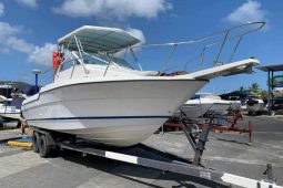 BAYLINER TROPHY 24, VENTA DE BAYLINER TROPHY 24, BAYLINER TROPHY 24 DE HIGUEROTE