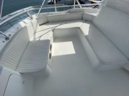 
										BERTRAM CONVERTIBLE 51 full									