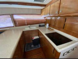 
										BERTRAM CONVERTIBLE 51 full									