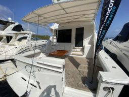 
										BERTRAM CONVERTIBLE 51 full									