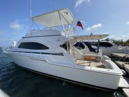 
										BERTRAM CONVERTIBLE 51 full									