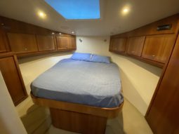 
										BERTRAM CONVERTIBLE 51 full									