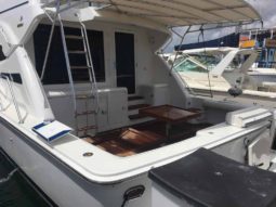 
										BERTRAM CONVERTIBLE 51 full									