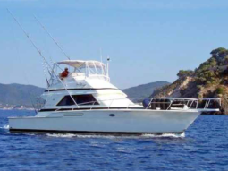 BERTRAM FLYBRIDGE 43, VENTA DE BERTRAM FLYBRIDGE 43, BERTRAM FLYBRIDGE 43 DE LECHERIA