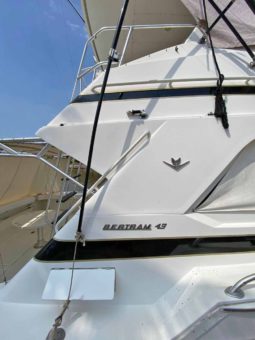 
										BERTRAM FLYBRIDGE 43 full									