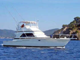 BERTRAM FLYBRIDGE 43