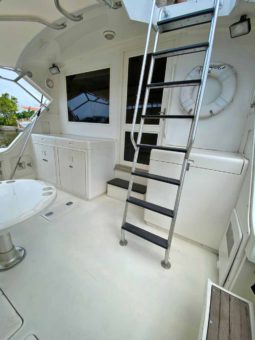 
										BERTRAM FLYBRIDGE 43 full									