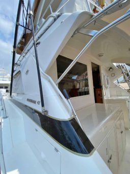 
										BERTRAM FLYBRIDGE 43 full									