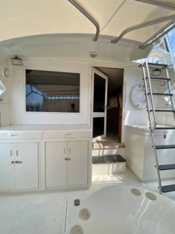 
										BERTRAM FLYBRIDGE 43 full									