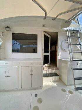 BERTRAM FLYBRIDGE 43