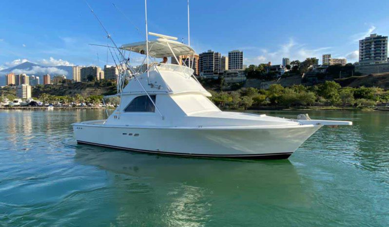 
								BERTRAM SPORTFISH 35 full									