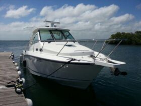 BOSTON WHALER CONQUEST 34.5