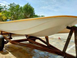 
										BOSTON WHALER REPLICA 11.5 full									