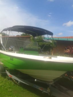 BOSTOS WHALER 16, VENTA DE BOSTOS WHALER 16, BOSTOS WHALER 16 DE HIGUEROTE