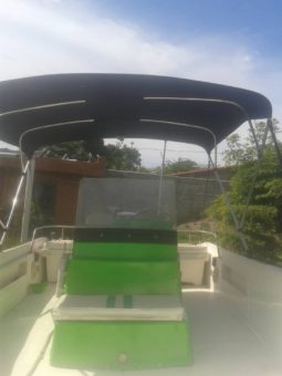 
										BOSTON WHALER 16 full									