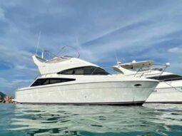 CARVER SUPER SPORT 33, VENTA DE CARVER SUPER SPORT 33, CARVER SUPER SPORT 33 DE LECHERIA