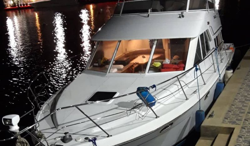 
								CARVER VOYAGER 37 full									