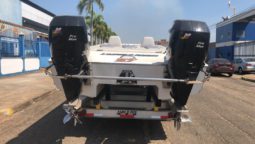 
										CATAMARAN MOTIONS MARINE 30 SS full									