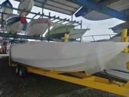 
										CATAMARAN RACING HELLCAT 30 full									