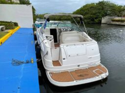 
										CHAPARRAL 280 SIGNATURE 29 full									