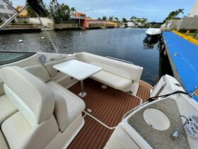 CHAPARRAL 280 SIGNATURE 29