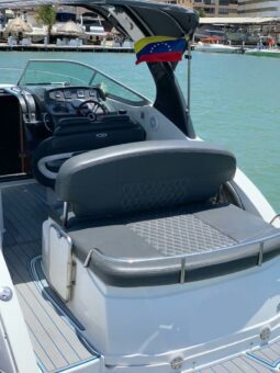 
										CHAPARRAL MINI YATCH 27 full									