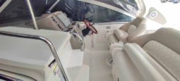 
										CHAPARRAL SIGNATURE 310 full									