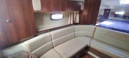 
										CHAPARRAL SIGNATURE 310 full									