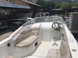 
										CHRIS CRAFT 27 full									