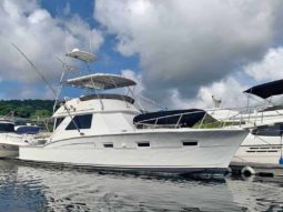 
										CHRIS CRAFT SPORTFISH 45.5 full									