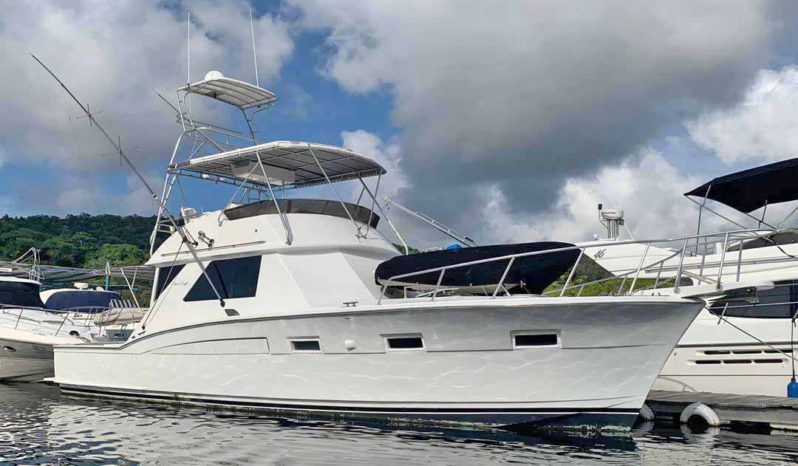 
								CHRIS CRAFT SPORTFISH 45.5 full									