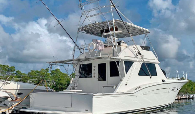 
								CHRIS CRAFT SPORTFISH 45.5 full									