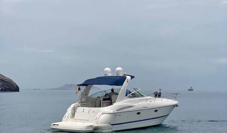 
								CRUISERS YACHTS 370 full									