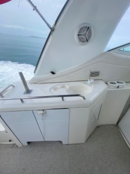 
										CRUISERS YACHTS 370 full									